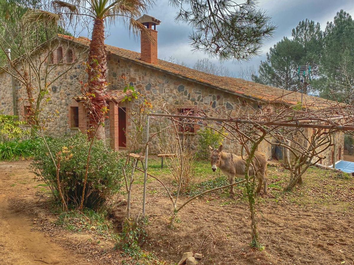 Masia Can Janet Arbúcies Exterior foto